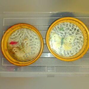 Butterfly Coasters - Set of 2 - Bamboo & Glass